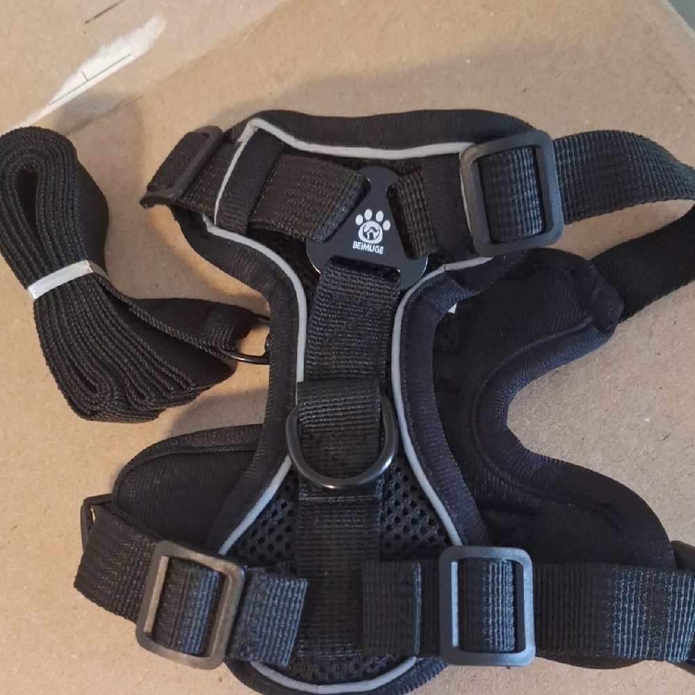 Black Dog Harness with Adjustable Straps plus Leash.